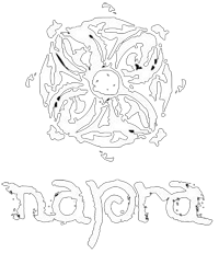 Napra logo