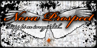 Nova Prospect logo