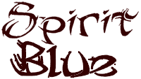 Spirit Blue logo