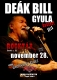 2015. 11. 28: Deák Bill Gyula